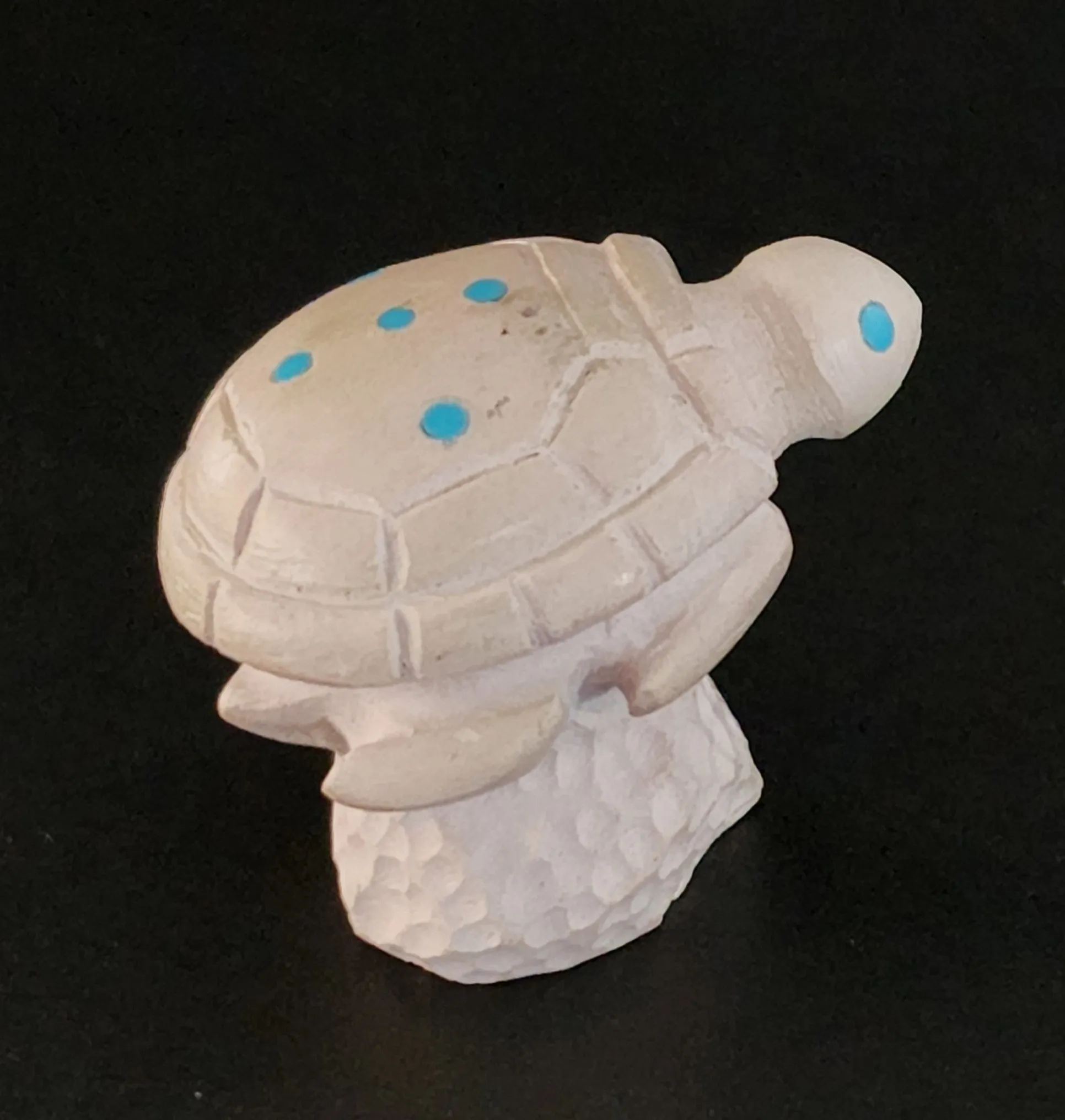 Sea Turtle Ocean Theme Decor