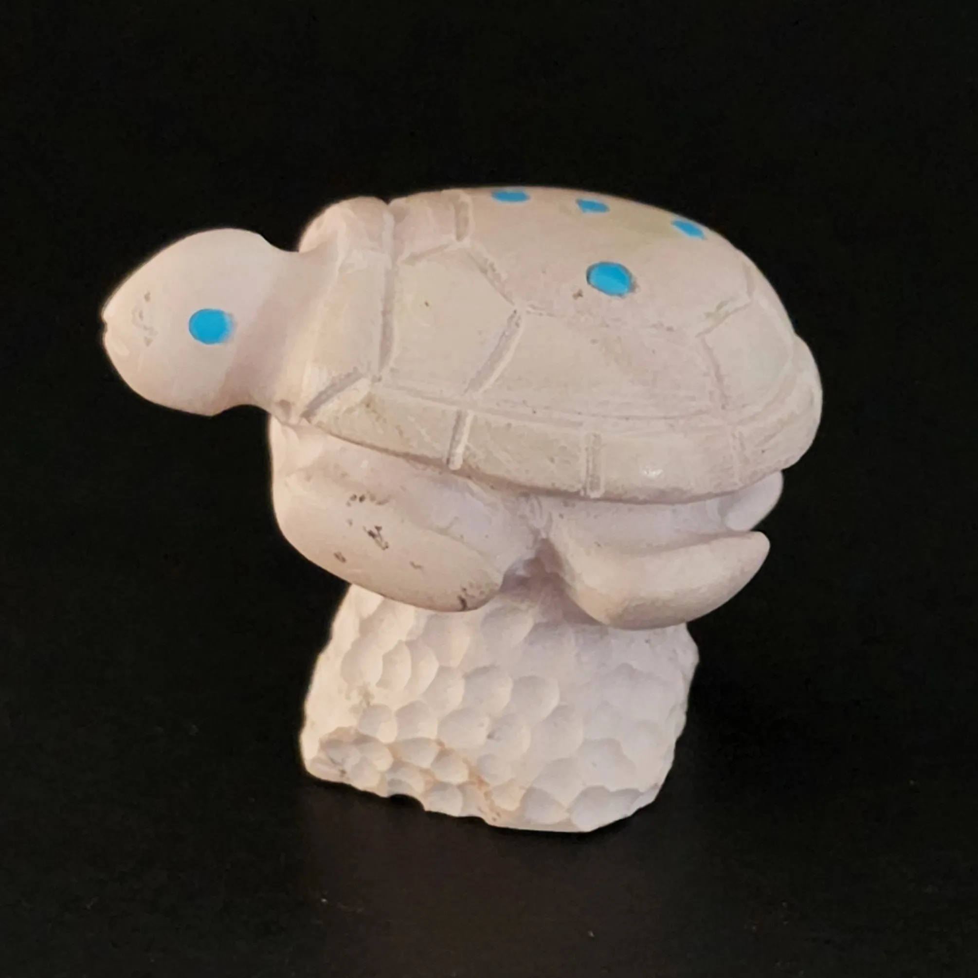 Sea Turtle Ocean Theme Decor